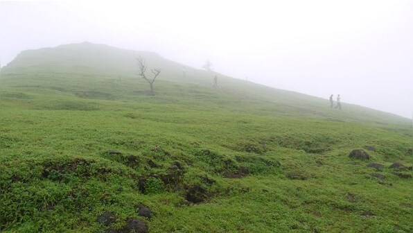 Watch: Maharashtra's Naneghat leaves internet puzzled with reverse flow of waterfall