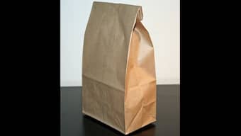 Paper Bag Day 2022: Find quotes, wishes and messages to share with loved ones