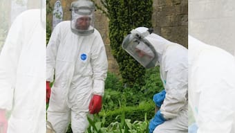 'These plants can kill you': Know about world's 'deadliest' Poison Garden in England