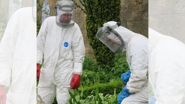 'These plants can kill you': Know about world's 'deadliest' Poison Garden in England