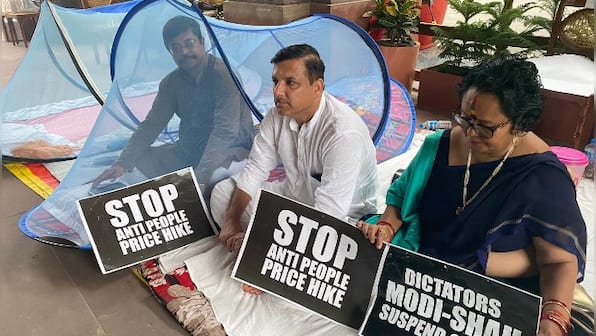 50-hour protest: Mosquito nets out, fish fry on the menu in agitation outside Parliament