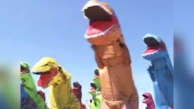 'No wonder dinosaurs became extinct': Twitter reacts to dinosaur beach race in Japanese town