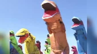 'No wonder dinosaurs became extinct': Twitter reacts to dinosaur beach race in Japanese town