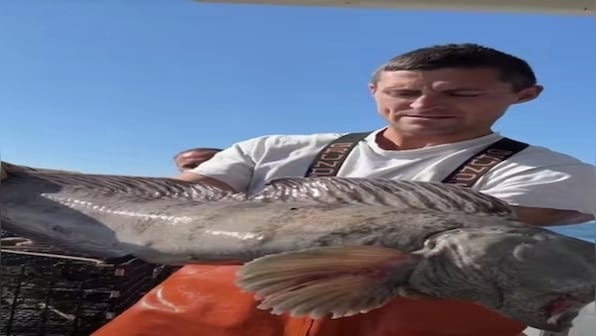 Mother Nature is Crazy': Fisherman Catches Rare Wolf Monster Fish in US,  Shares Video - News18