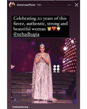A snapshot of Dia Mirza's Instagram story