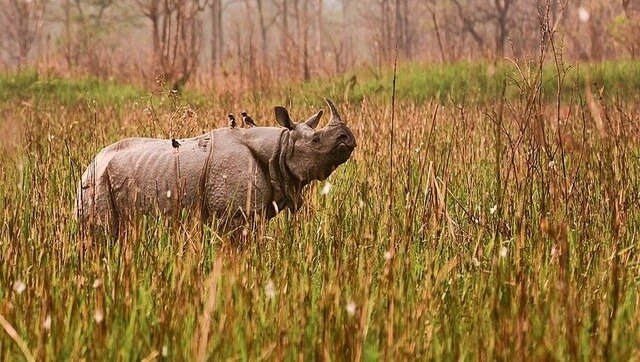 Assam's Barak Valley set to get second wildlife sanctuary Assam's Barak Valley set to get second wildlife sanctuary