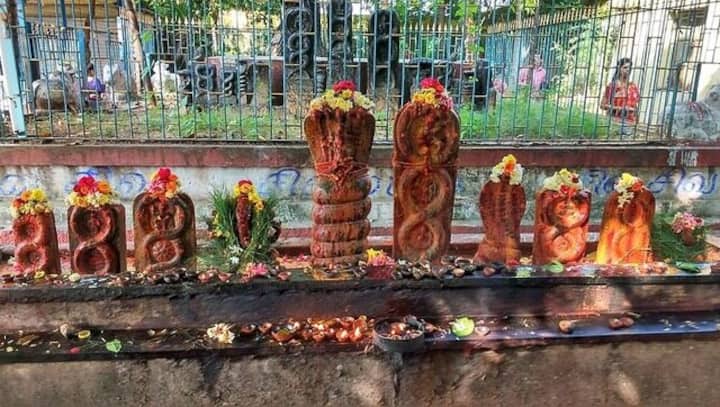 Naga Chaturthi 2022: Know date, shubh muhurat, puja vidhi and significance