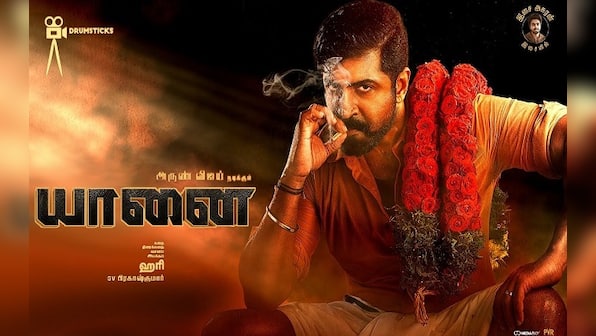 Yaanai, a template mass Hari film that keeps you engaged