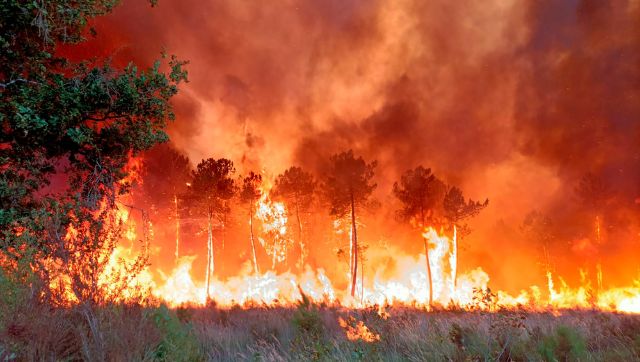 Summer heatwave triggers devastating forest fires across southwest Europe Summer heatwave triggers devastating forest fires across southwest Europe