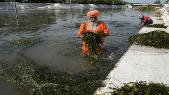Balbir Singh Seechewal and his followers clean up the Kali Bein canal in Kapurthala in June 2016. AFP