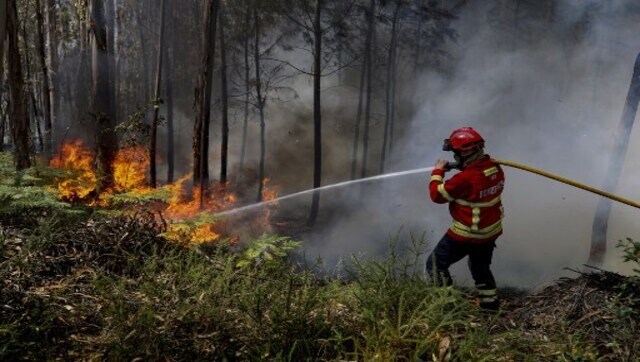 Wildfires raging in Europe: What, where and why?, Explainer News