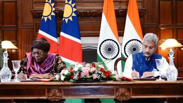 India inks pact with Namibia for cheetah reintroduction; first batch likely to arrive before 15 August