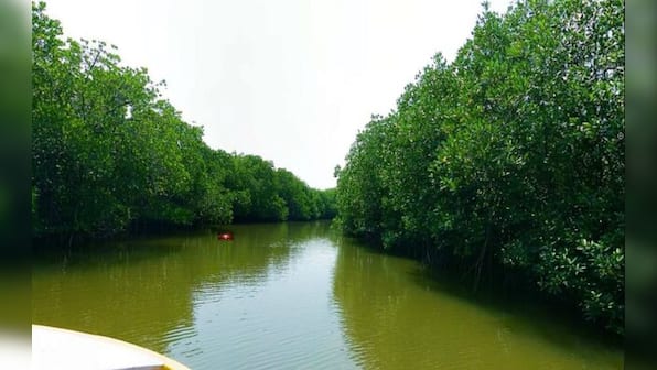 Five more Indian sites added to Ramsar list as wetlands of international importance