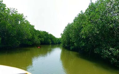 Five more Indian sites added to Ramsar list as wetlands of international importance