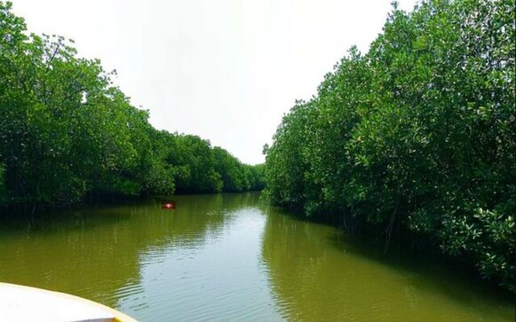 Five more Indian sites added to Ramsar list as wetlands of international importance Five more Indian sites added to Ramsar list as wetlands of international importance