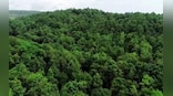 World Nature Conservation Day 2022: Find date, history, and significance