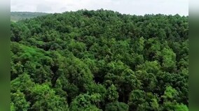 World Nature Conservation Day 2022: Find date, history, and significance