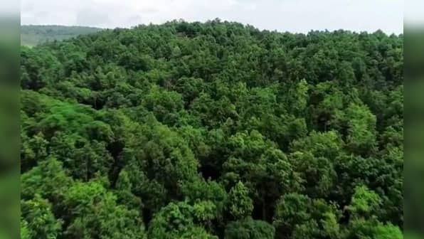World Nature Conservation Day 2022: Find date, history, and significance
