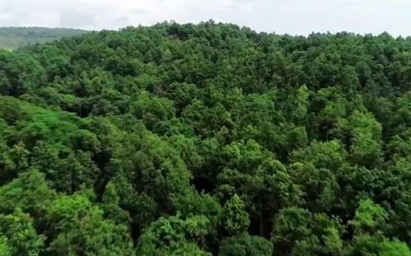 World Nature Conservation Day 2022: Find date, history, and significance World Nature Conservation Day 2022: Find date, history, and significance