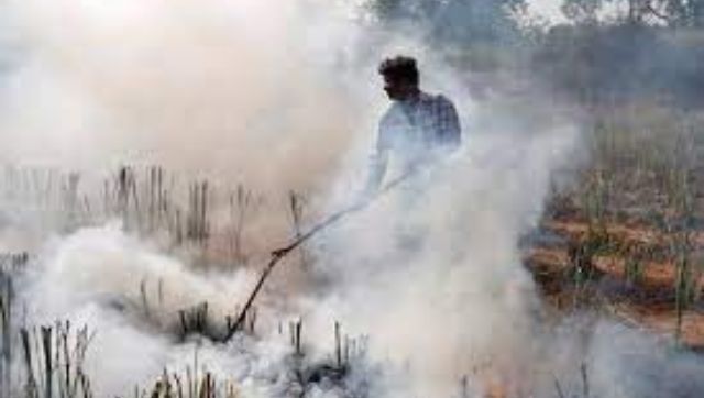 An organised, robust response to stubble burning is need of the hour An organised, robust response to stubble burning is need of the hour