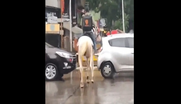 Swiggy announces reward for identifying 'accidental brand ambassador' spotted riding horse on Mumbai street Swiggy announces reward for identifying 'accidental brand ambassador' spotted riding horse on Mumbai street