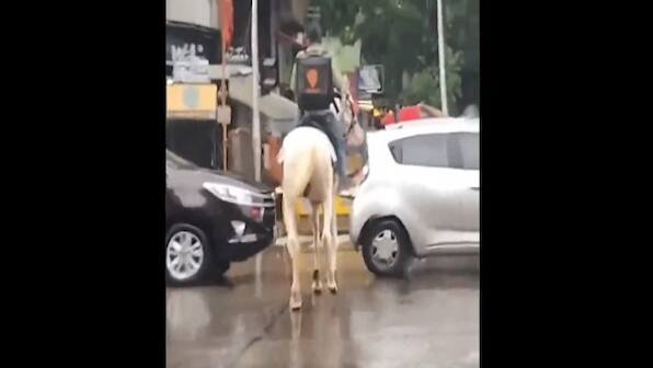 Swiggy announces reward for identifying 'accidental brand ambassador' spotted riding horse on Mumbai street