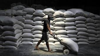Explained: Why India has tightened rules for flour exports after wheat ban