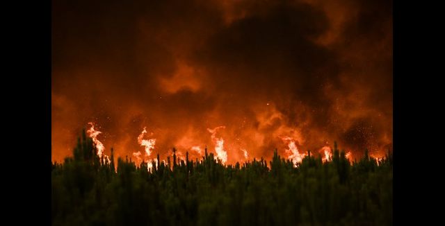 How EU countries are lending a helping hand to France as it battles deadly wildfire How EU countries are lending a helping hand to France as it battles deadly wildfire