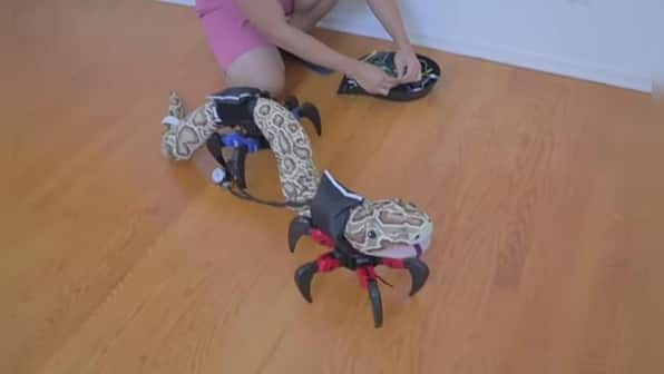 Watch: YouTuber designs robotic legs for snake, internet stunned