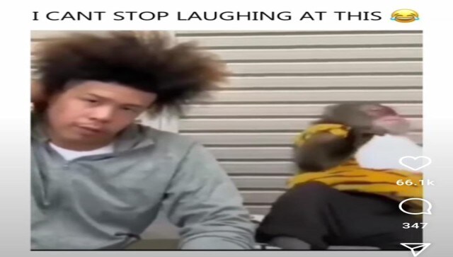 Watch: Monkey almost faints after seeing man's crazy hairstyle, internet in splits
