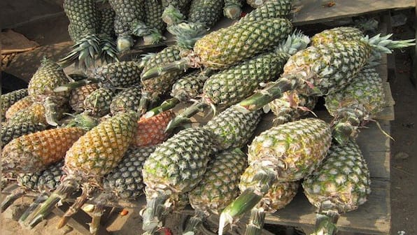 Mizoram exports pineapples to Dubai for first time