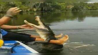 Watch: Man feeds “pet” crocodile with bare hands, internet can’t keep calm