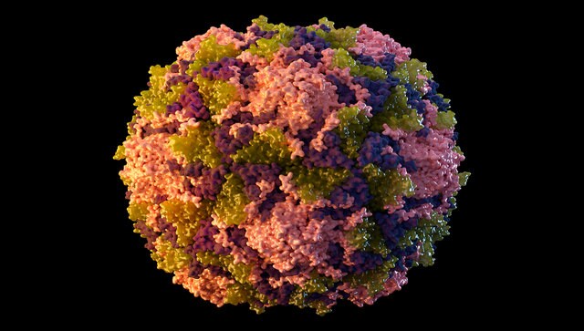 Polio cases reemerge in several Western nations as battle against COVID continues Polio cases reemerge in several Western nations as battle against COVID continues
