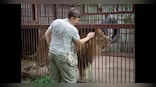 Natalia Popova: The Ukrainian risking her life to rescue wild animals from the war