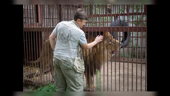 Natalia Popova: The Ukrainian risking her life to rescue wild animals from the war