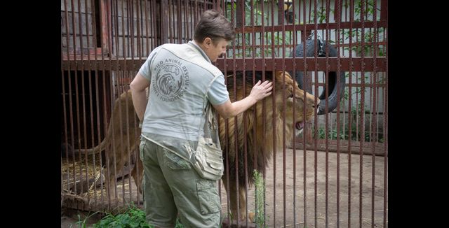 Natalia Popova: The Ukrainian risking her life to rescue wild animals from the war Natalia Popova: The Ukrainian risking her life to rescue wild animals from the war
