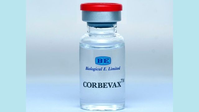 COVID-19: Corbevax approved as precaution dose for adults vaccinated with Covaxin, Covishield COVID-19: Corbevax approved as precaution dose for adults vaccinated with Covaxin, Covishield