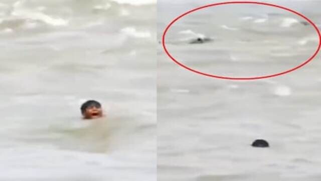 Video of rescue boat saving child from crocodile-infested river shivers internet Video of rescue boat saving child from crocodile-infested river shivers internet