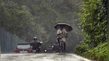 Weather Report: Monsoon withdraws from northwest India, rains to decrease significantly in southern states this week
