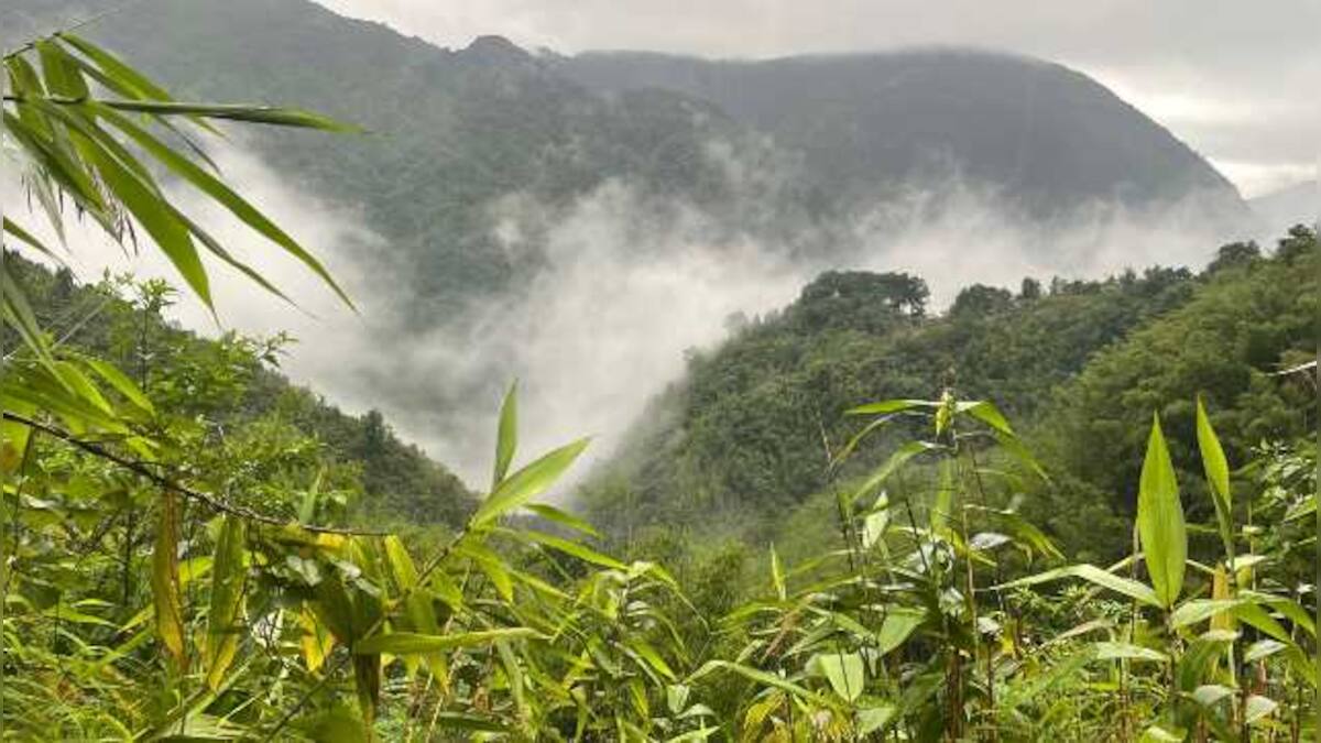 Jhoom cultivation, sustainable farming and mountain foods of Meghalaya ...