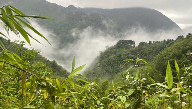 Jhoom cultivation, sustainable farming and mountain foods of Meghalaya Jhoom cultivation, sustainable farming and mountain foods of Meghalaya
