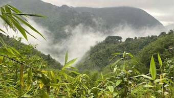 Jhoom cultivation, sustainable farming and mountain foods of Meghalaya