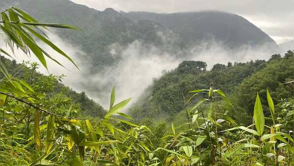 Jhoom cultivation, sustainable farming and mountain foods of Meghalaya