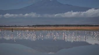 Tanzania installs internet on Mount Kilimanjaro for Insta-ascents