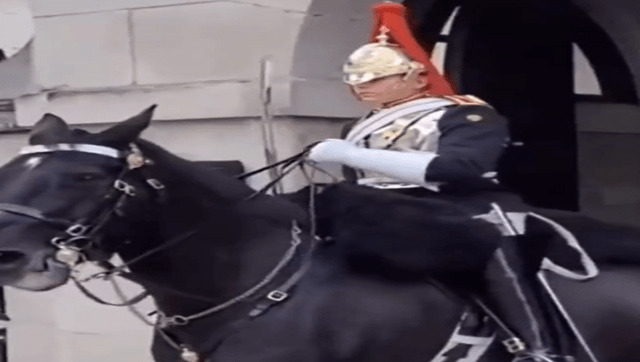 Queen's horse guard shouts at tourist taking photo, watch video Queen's horse guard shouts at tourist taking photo, watch video