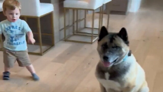 Elon Musk shares adorable video of his son with dogs, makes internet say 'aww' Elon Musk shares adorable video of his son with dogs, makes internet say 'aww'
