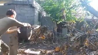 Ukraine-Russia War: Ukrainians throw twig bricks to clear booby traps, Watch Videos