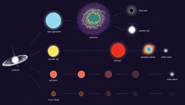 Stellar evolution. ESA