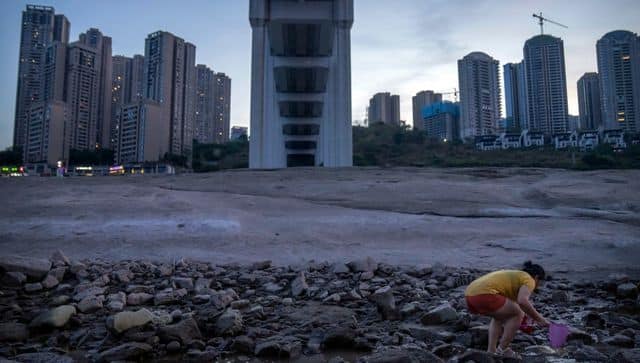 A woman looks for crabs in the dry riverbed of China's Yangtze River. AP