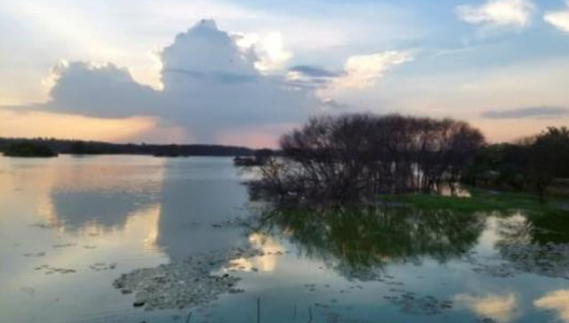 India gets most Ramsar sites in Asia: What are they? India gets most Ramsar sites in Asia: What are they?